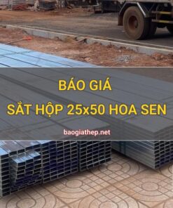 Giá sắt hộp 25x50 Hoa Sen mới nhất